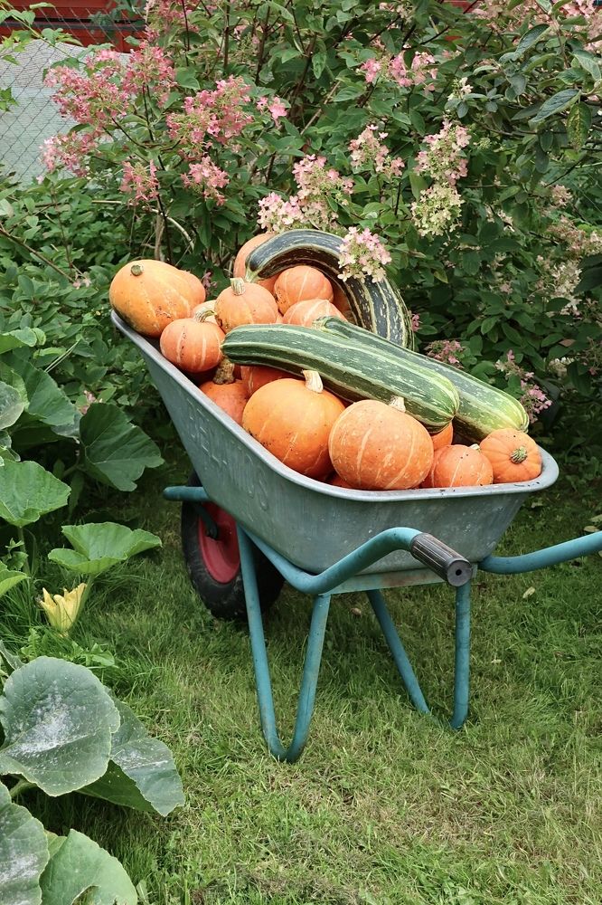 Photograph by Надежда