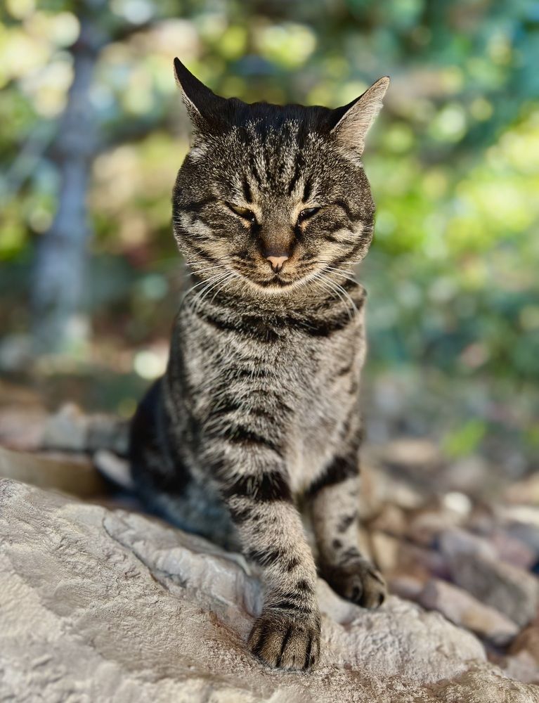 Photograph by Oleg Travin