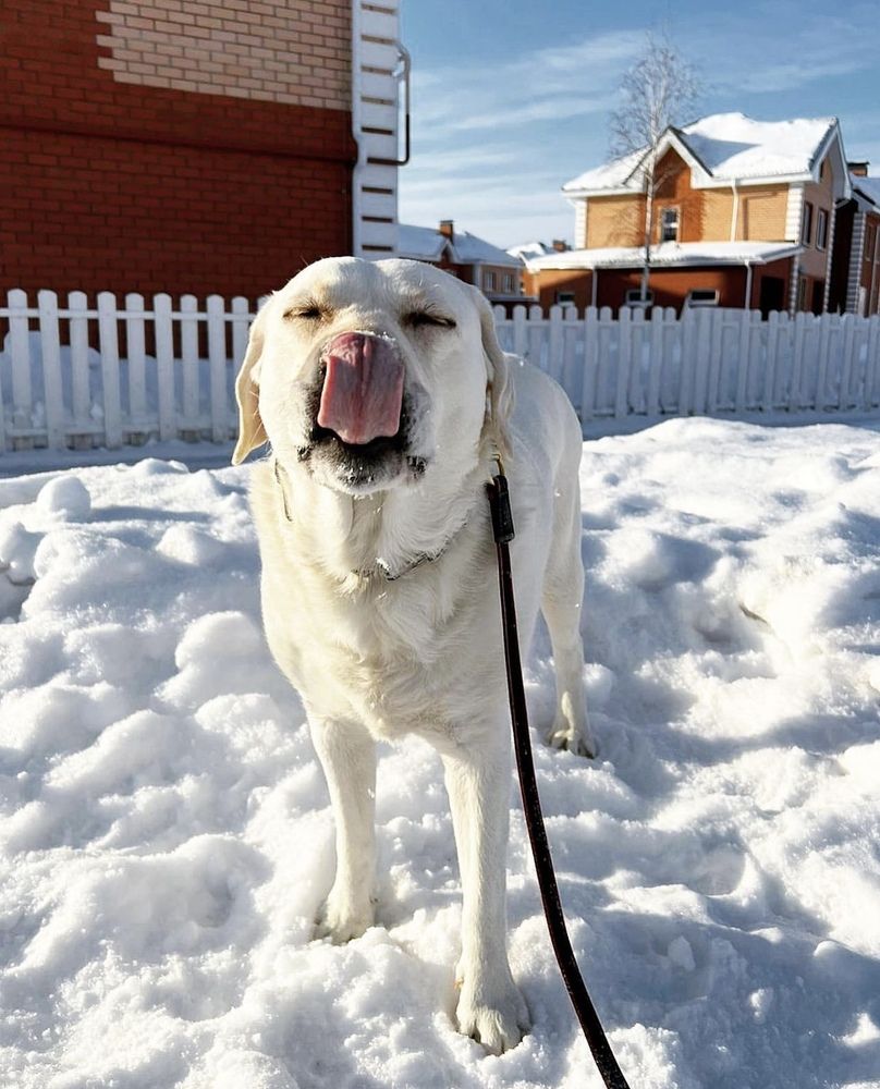 Photograph by Татьяна Волохова