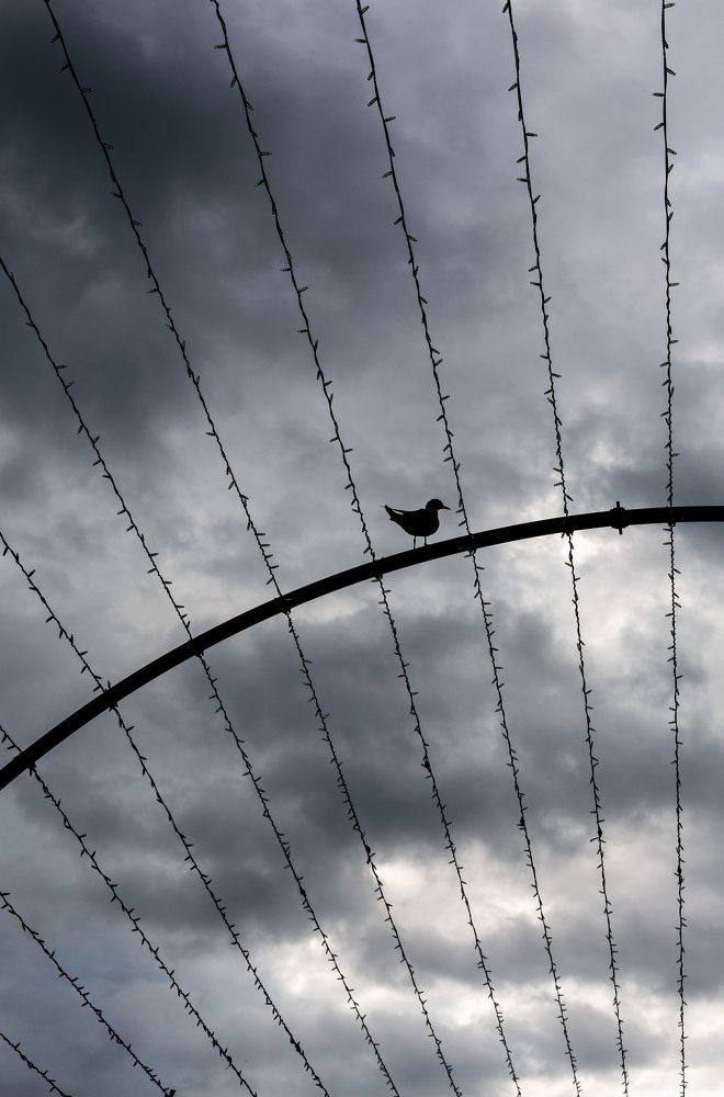 Photograph by Янтарная Елена