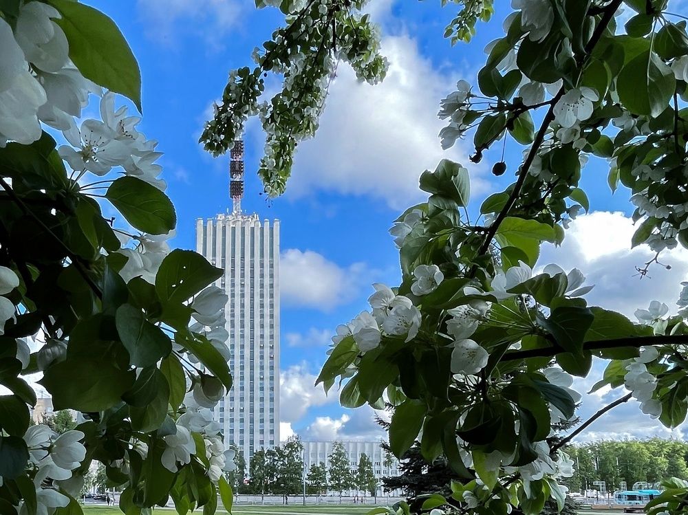 Весна в городе