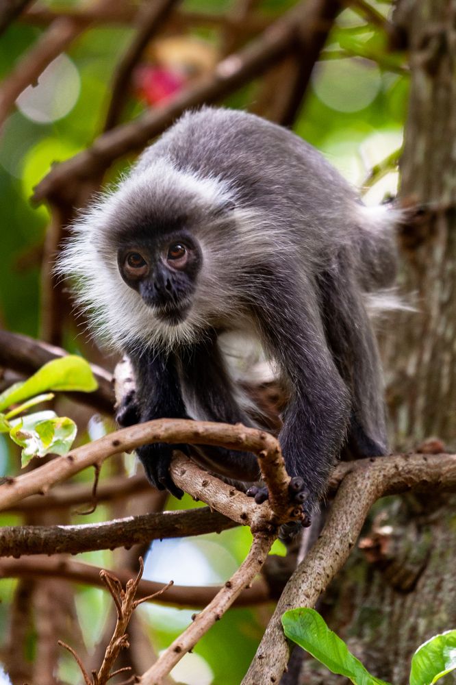 Photograph by Bao Huy Nguyễn