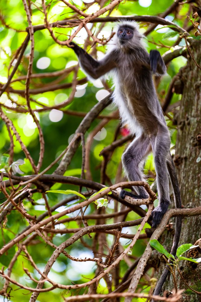 Photograph by Bao Huy Nguyễn