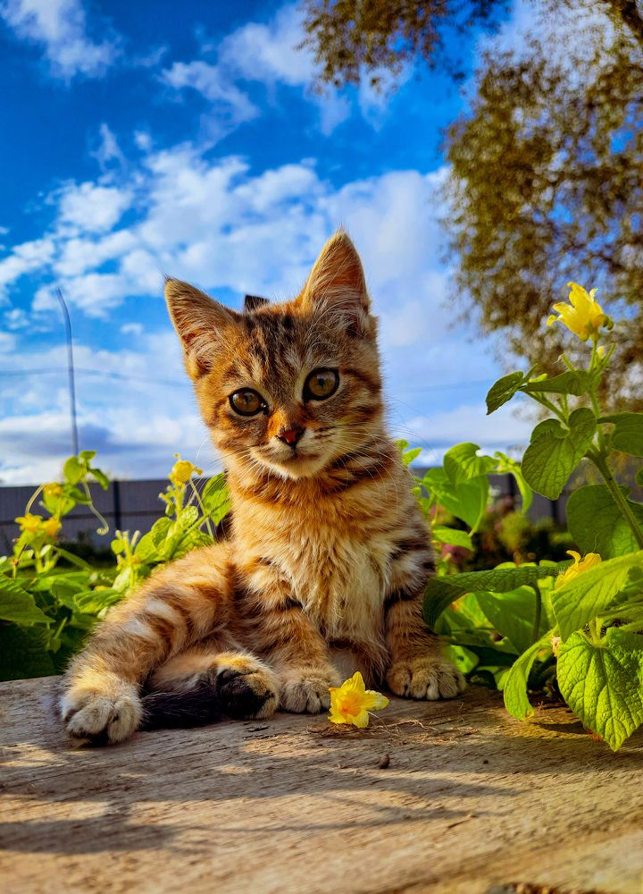 Photograph by Наталья Чередниченко