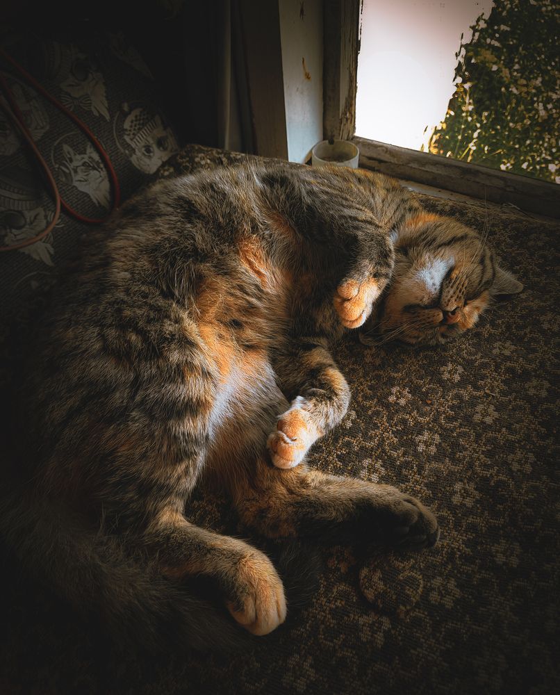 Photograph by Наталья Чередниченко