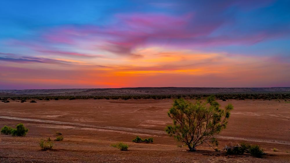 Photograph by Farshad Yazdankhah