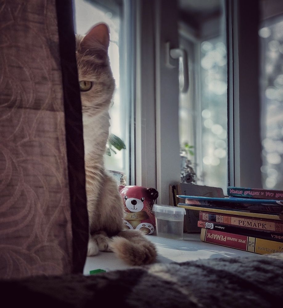 Photograph by Ольга Мартьянова