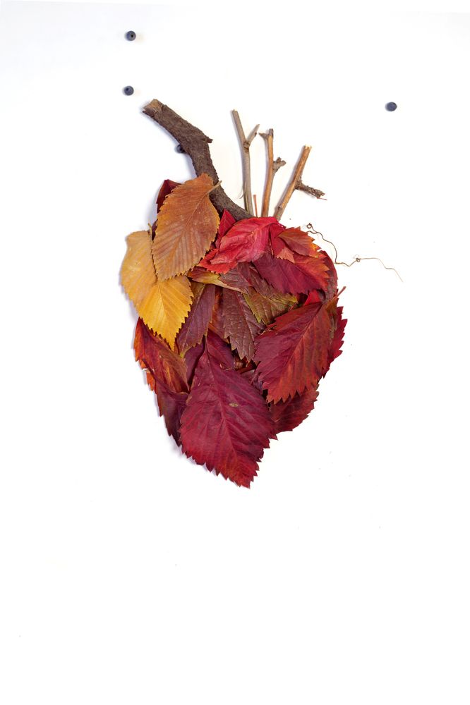 Photograph by Наталья Дмитриева