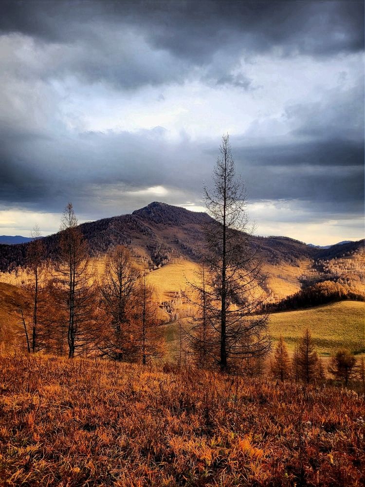 Photograph by Pavel Vorobev