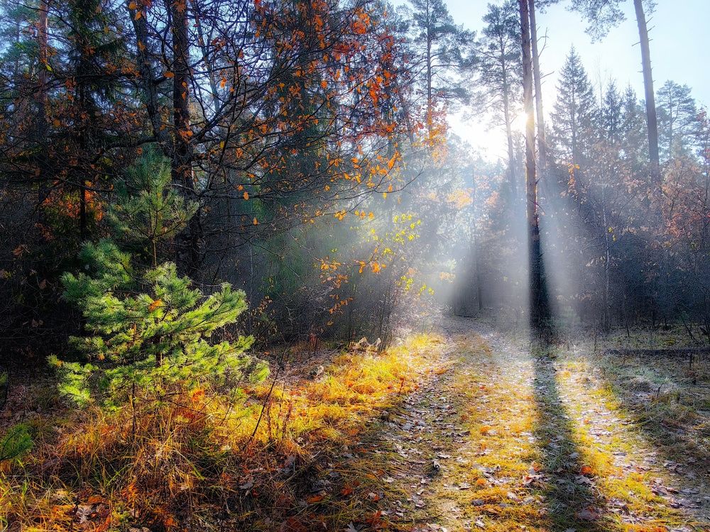 Photograph by Владимир Крылов