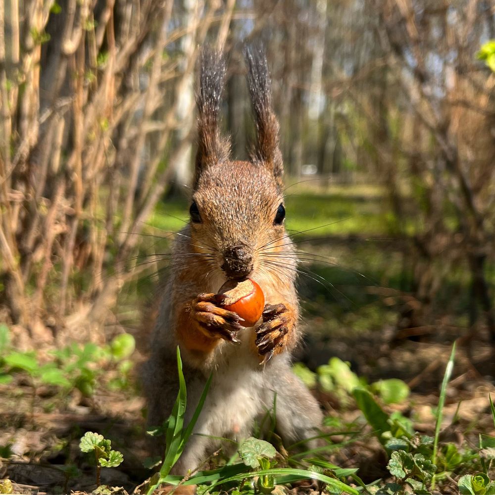 Photograph by Ирина