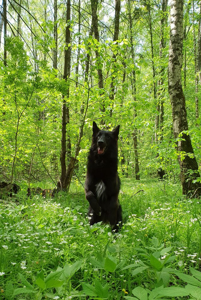 Фотография автора Надежда Лисицына