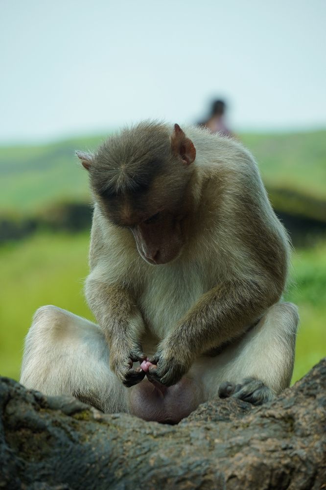 Photograph by Sathya Surya