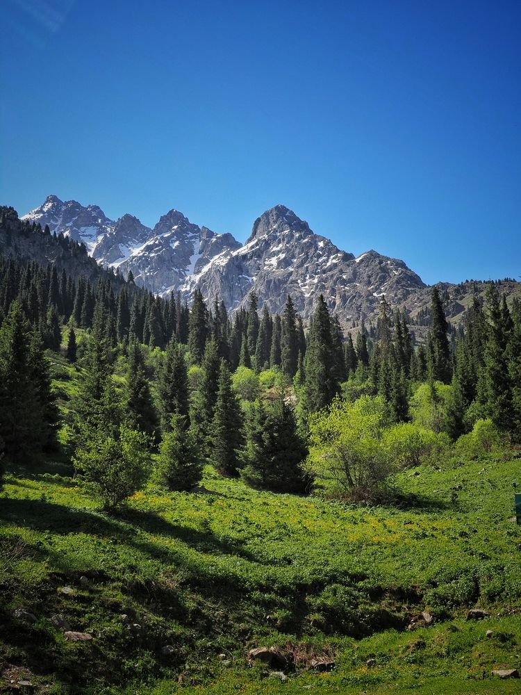 Утро в горах