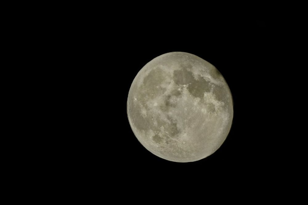 Photograph by Татьяна Бравая