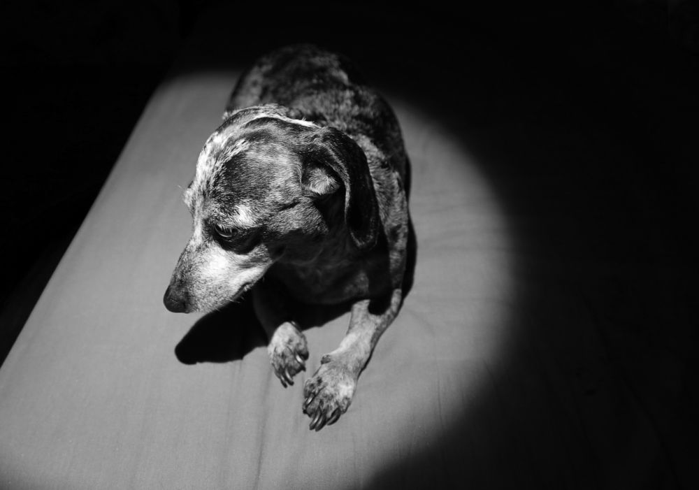 Photograph by Ирина Бескровная