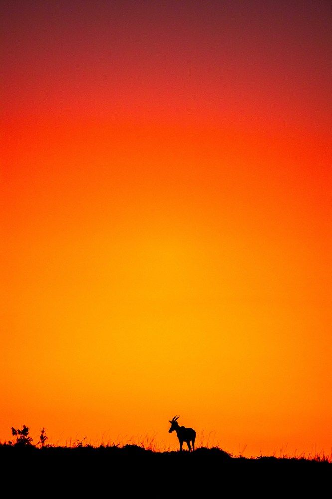 Photograph by Zubair Irshad