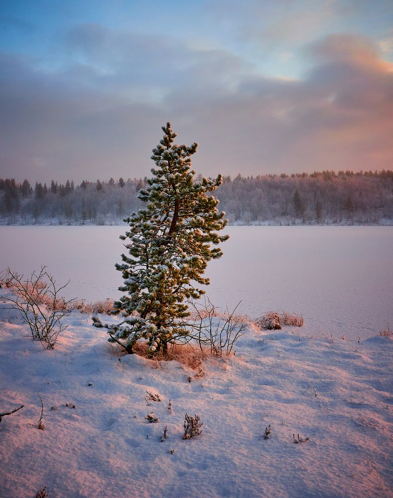 Одиночество
