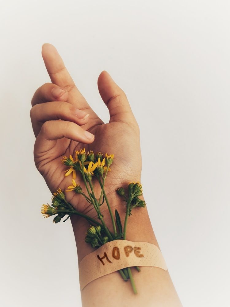 Фотография автора Liudmila Hnedzka