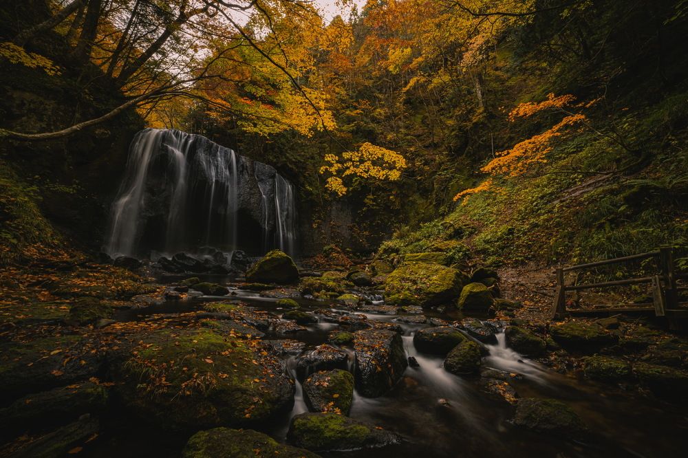 Photograph by Quang Dieu Le