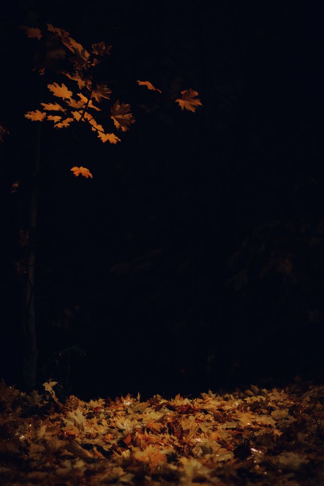 Photograph by Angelina Karelina