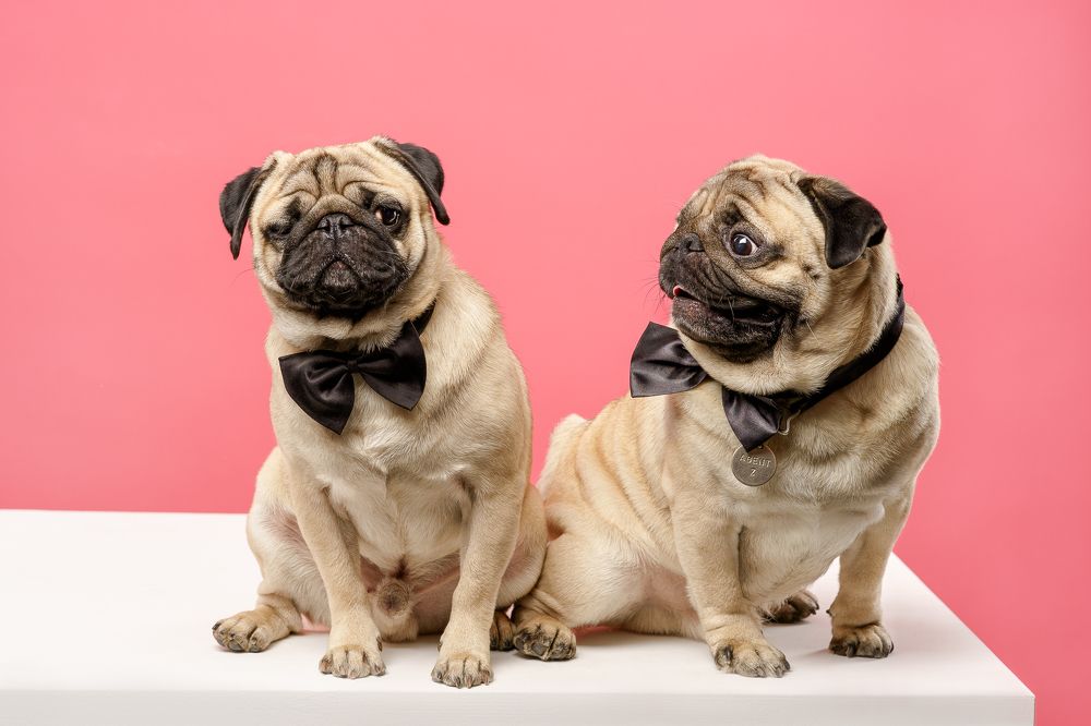 Photograph by Владимир Лиепин