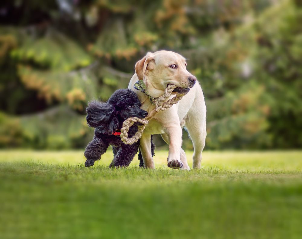 Photograph by Владимир Лиепин