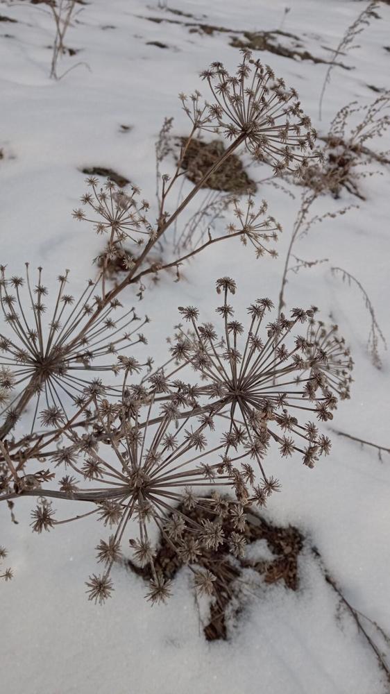 Фотография автора Ирина