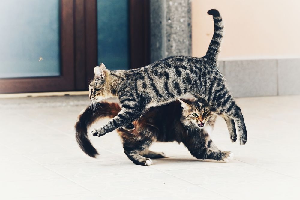 Photograph by Светлана Ивановна