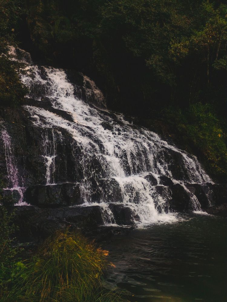 Photo #9781882