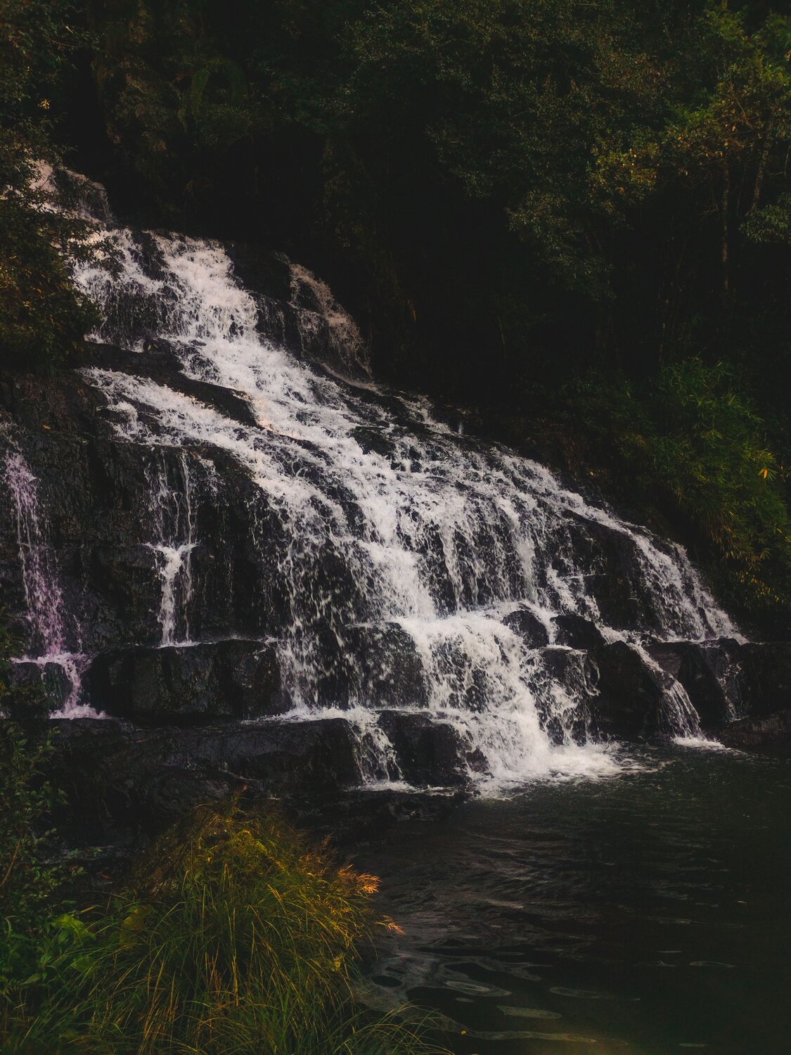Photo #9781882