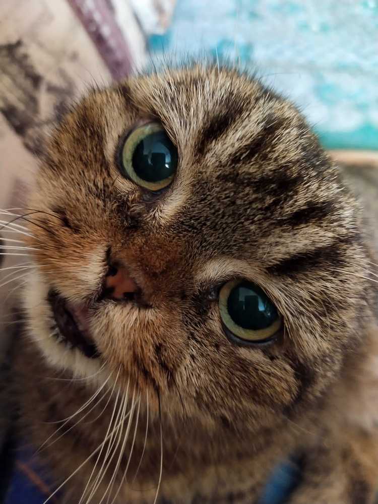 Photograph by Марина Гусева