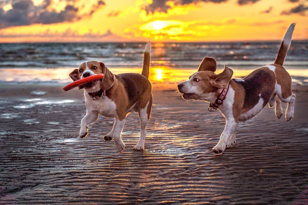 Photograph by Владимир Лиепин