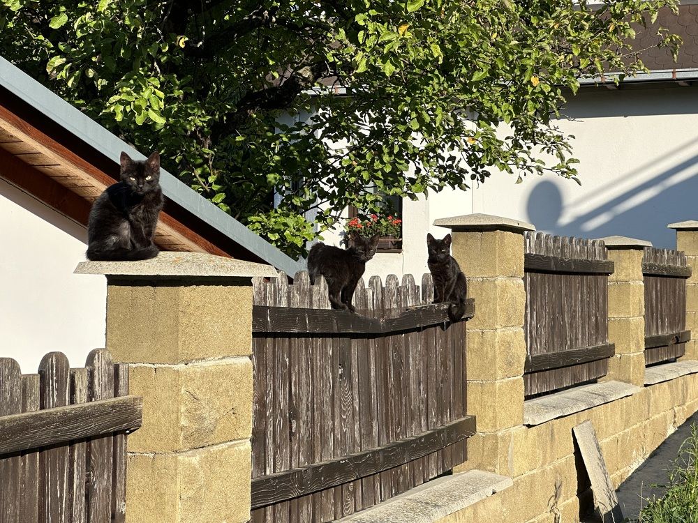 Photograph by Stanislav Strisovsky