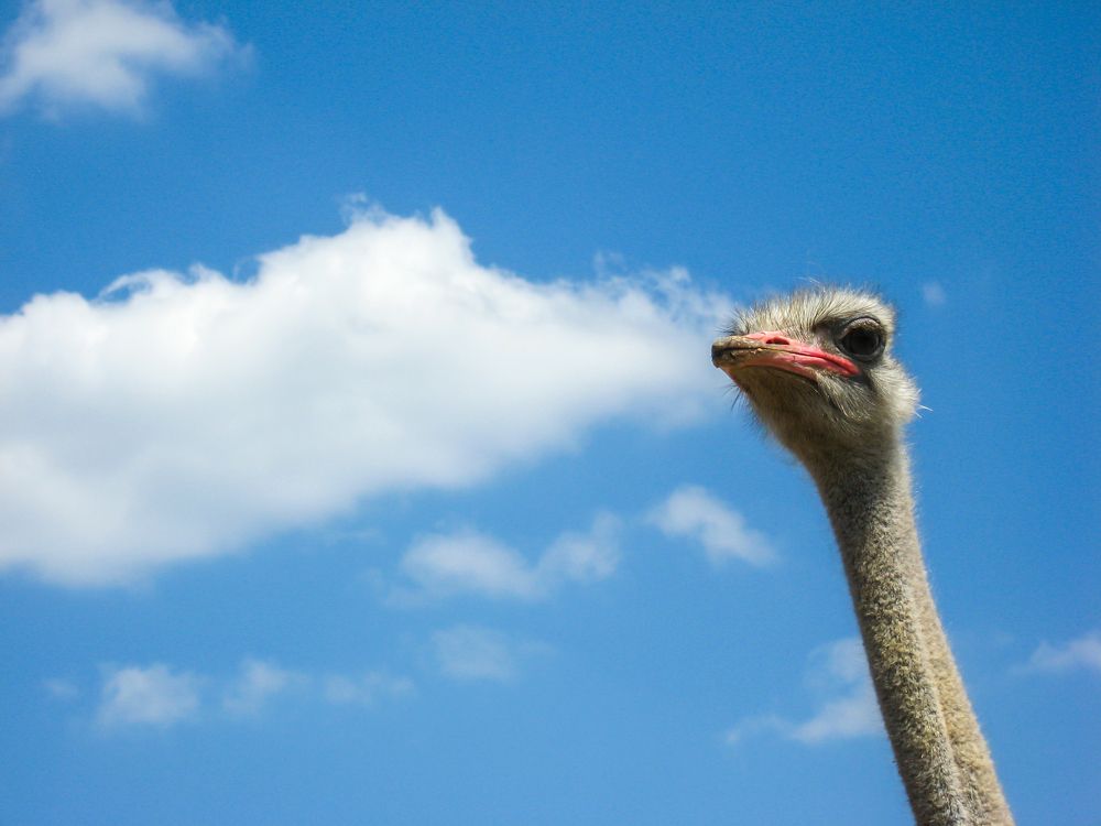 Photograph by Agita Leimane