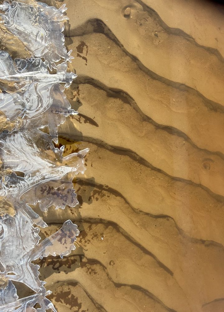 Photograph by Мария Владимировна