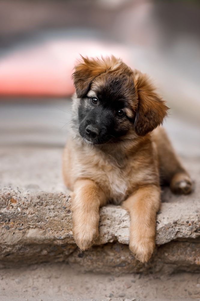 Фотография автора Татьяна Радусь