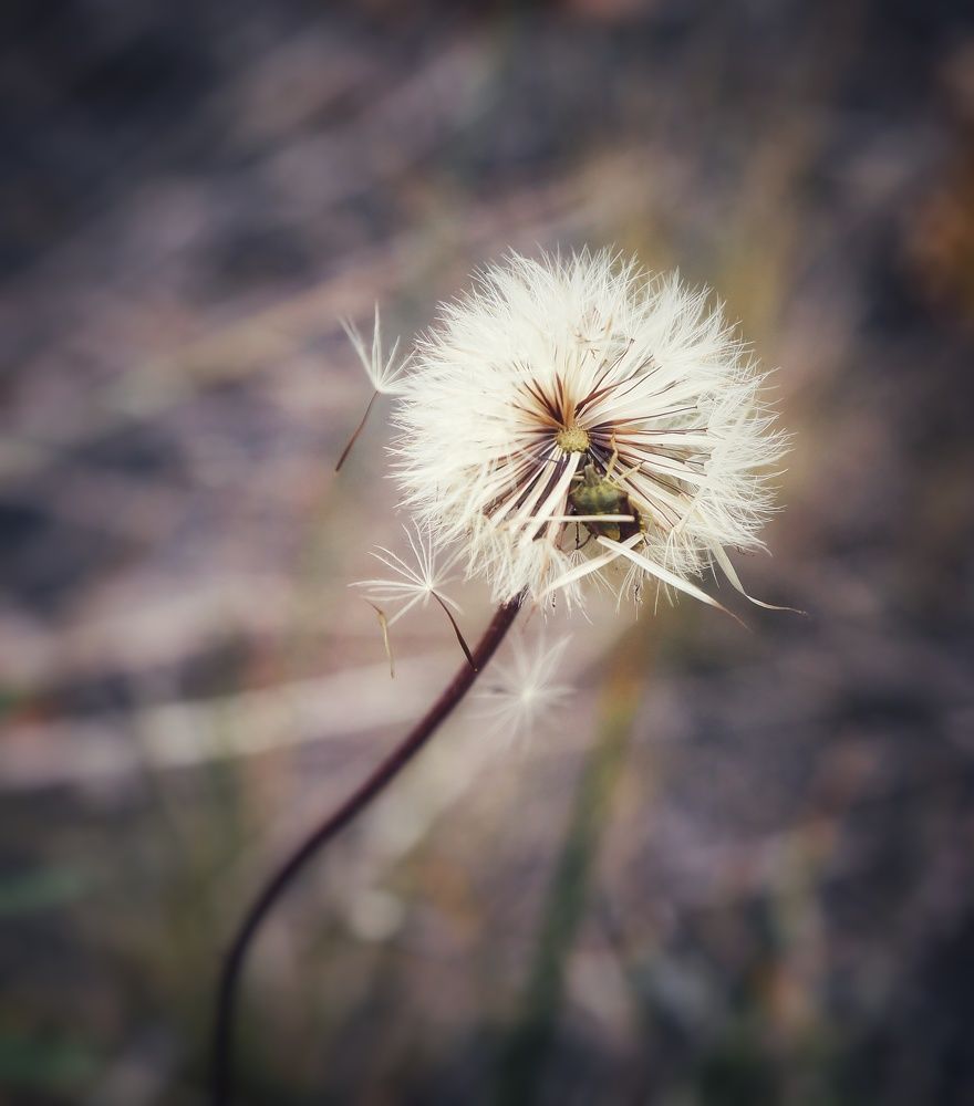 Photograph by Мария Андреева