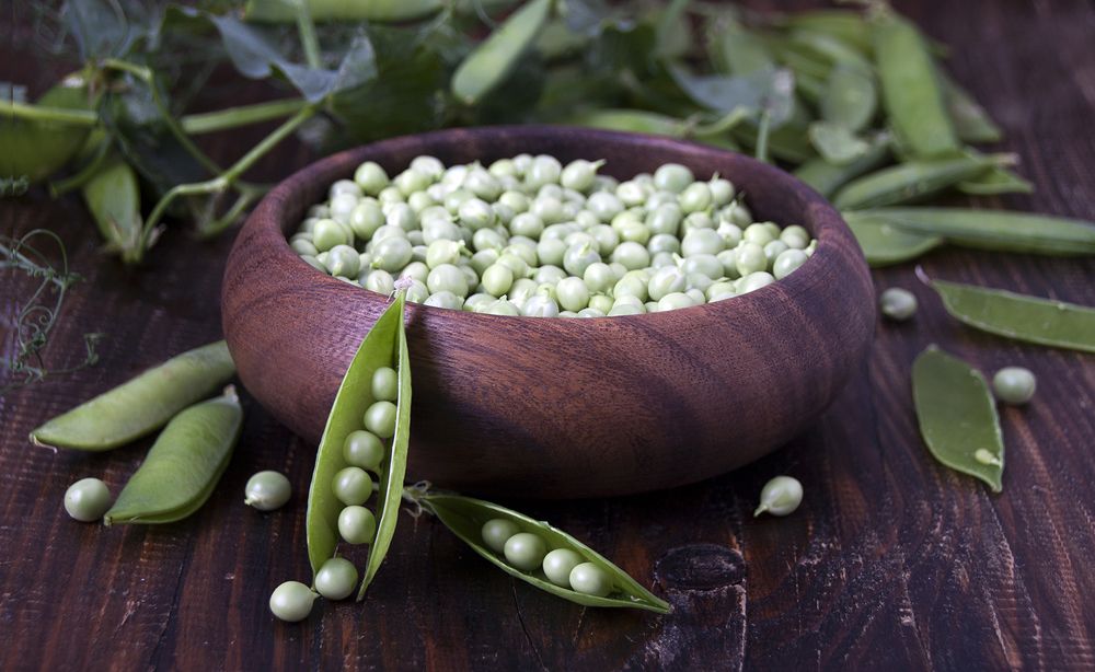 Photograph by Галина Щипакина