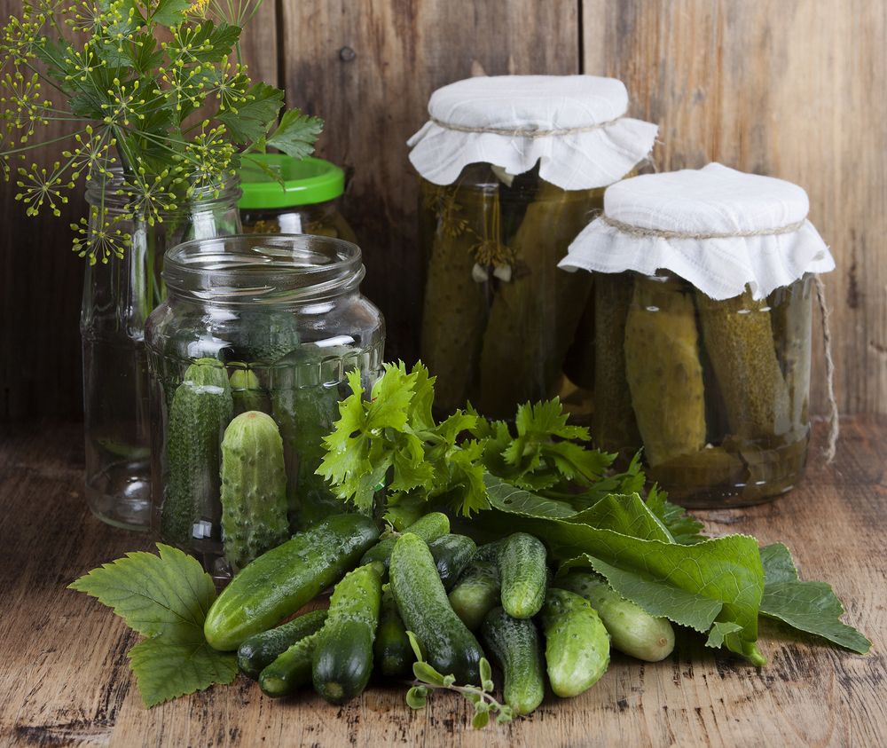 Photograph by Галина Щипакина