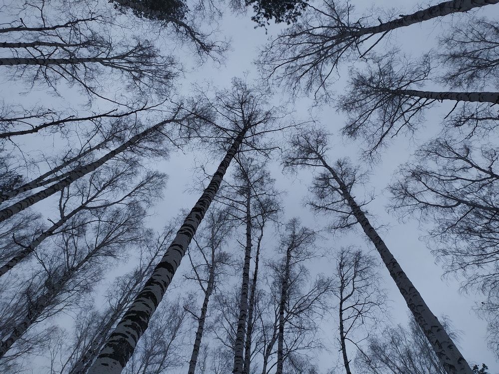 Фотография автора Анастасия