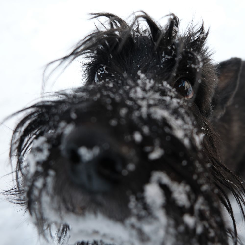 Photograph by Виктория Колышева