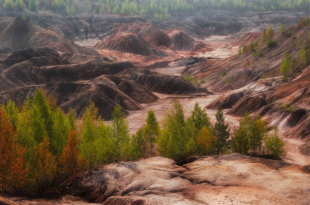 Photograph by Илья Толстоноженко