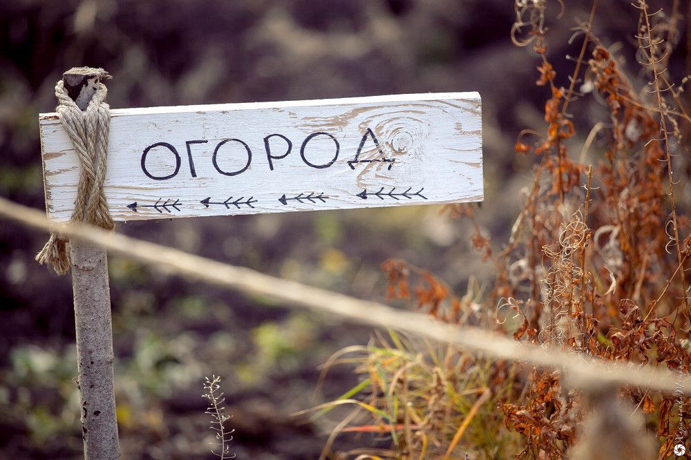 Photograph by Татьяна Харитонова