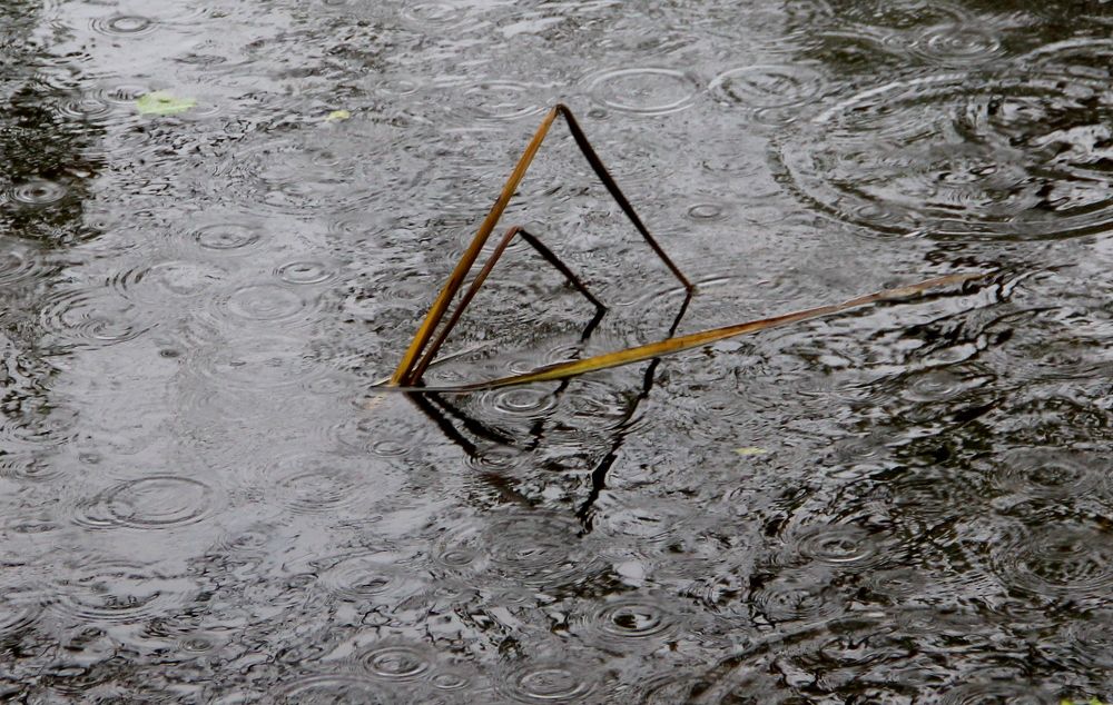 Photograph by Жанна Нечаева