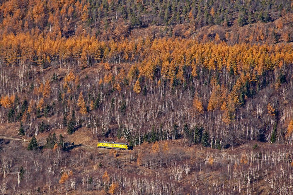 Photograph by Максим Тыщенко