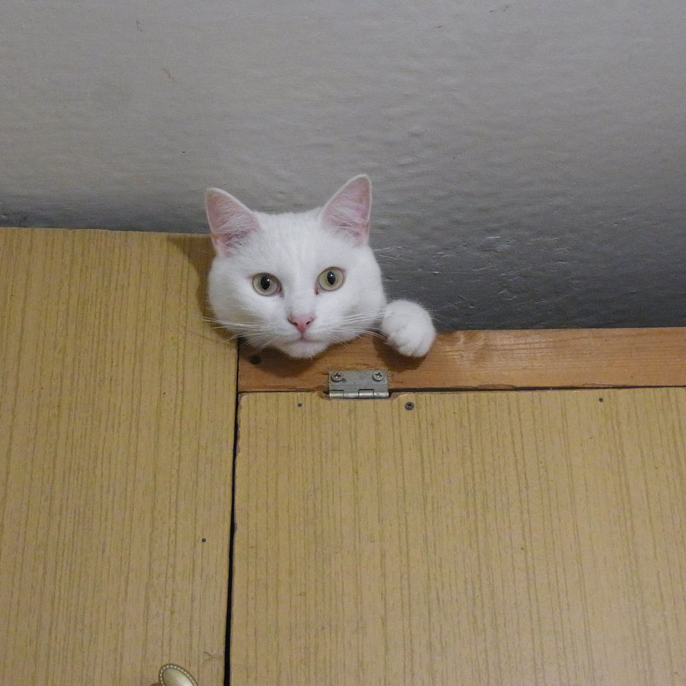 Photograph by Татьяна Солтан