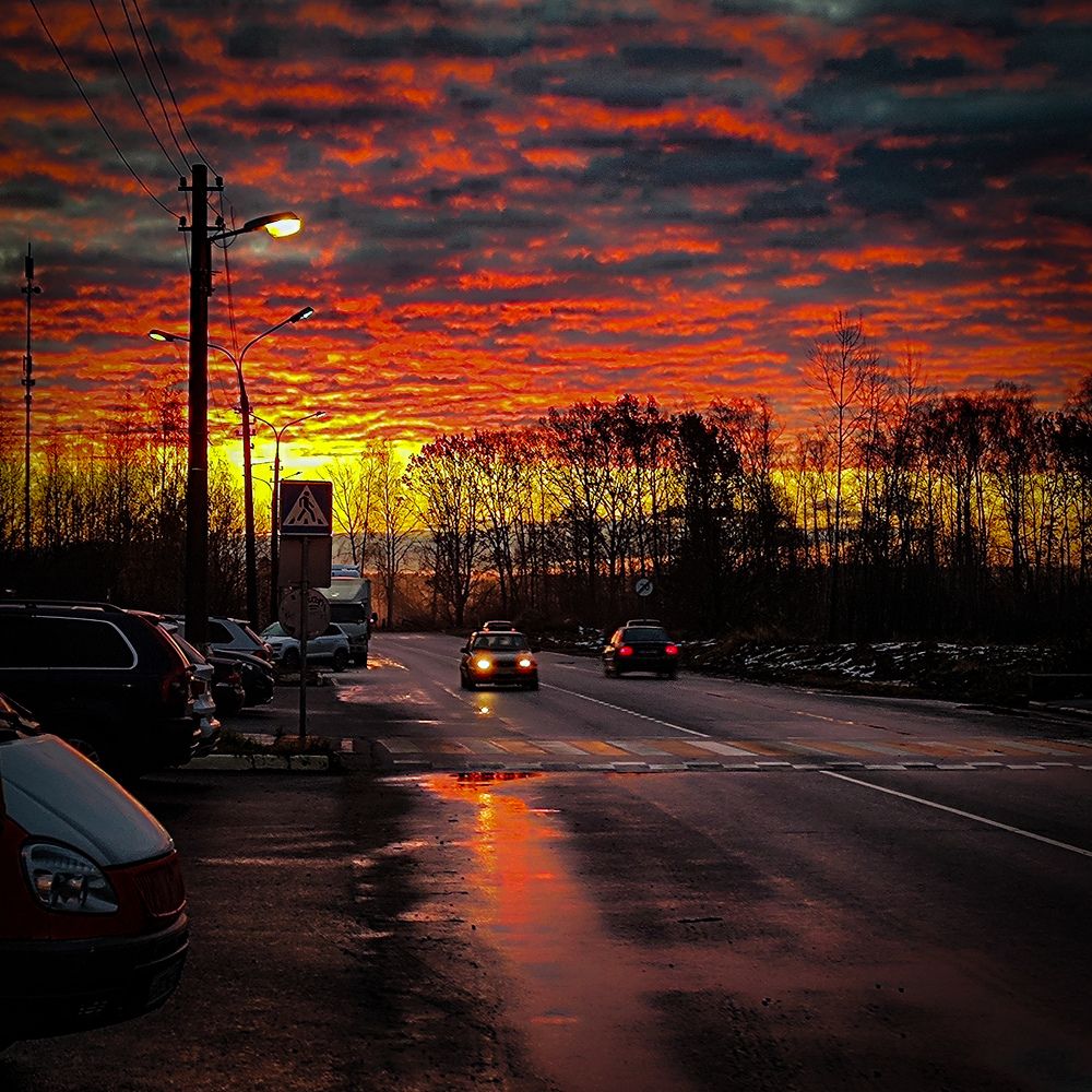 Photo #9782087
