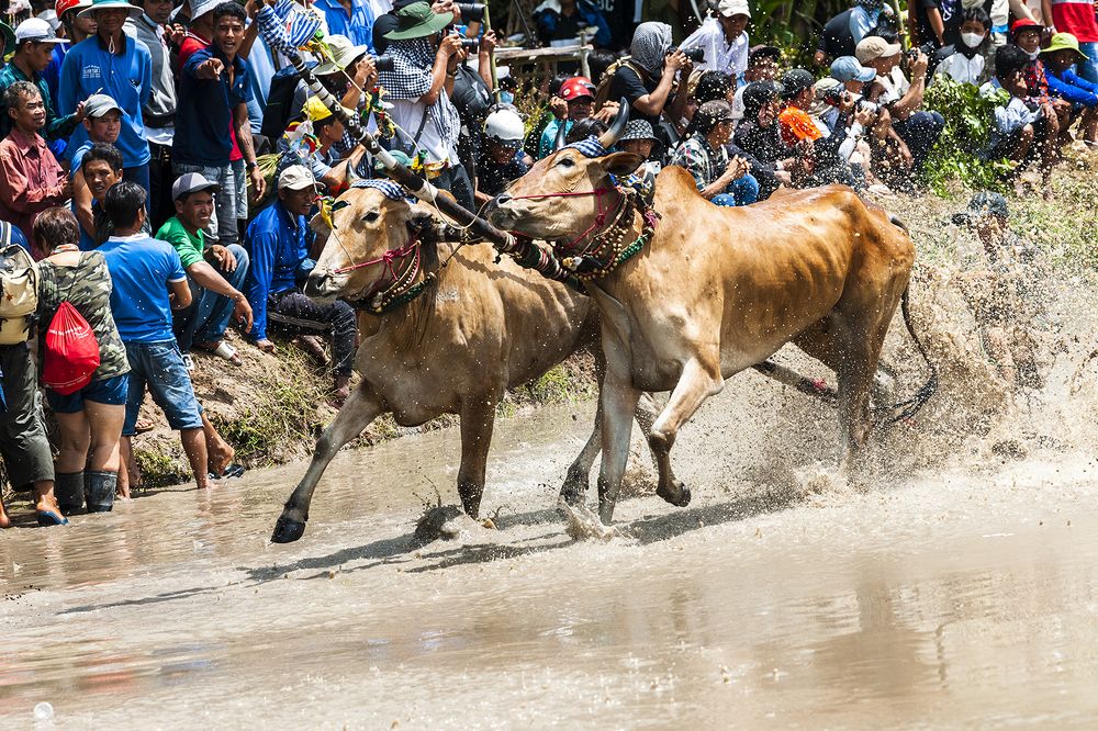 Photograph by Bao Huy Nguyen