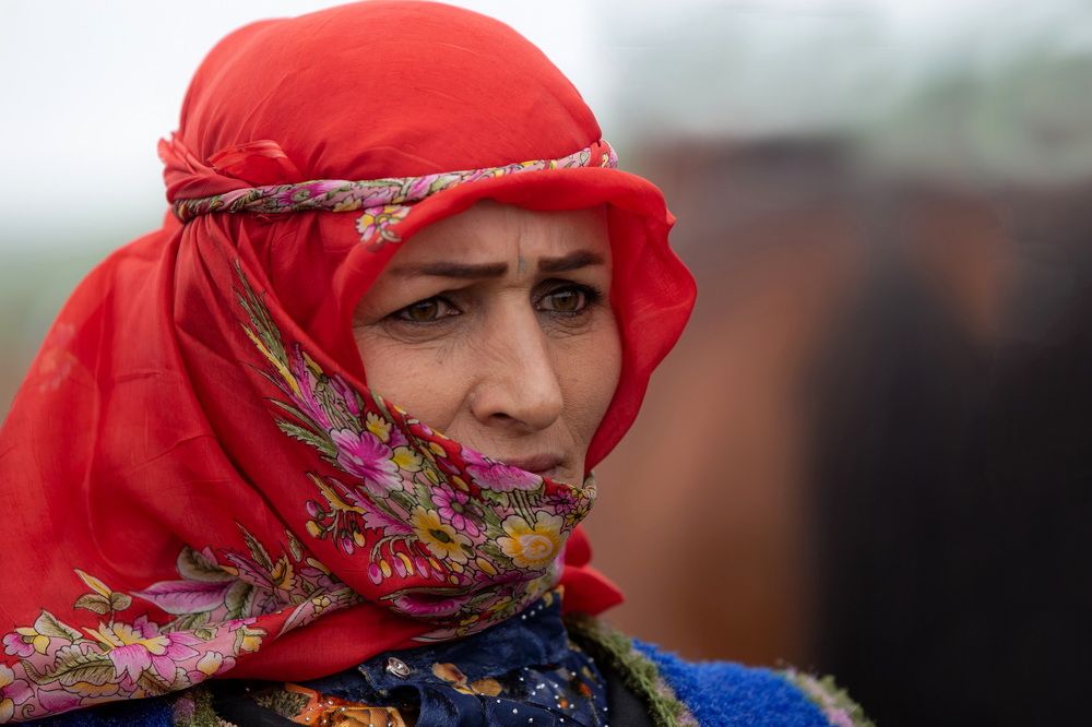 Photograph by mohammadreza behmaram